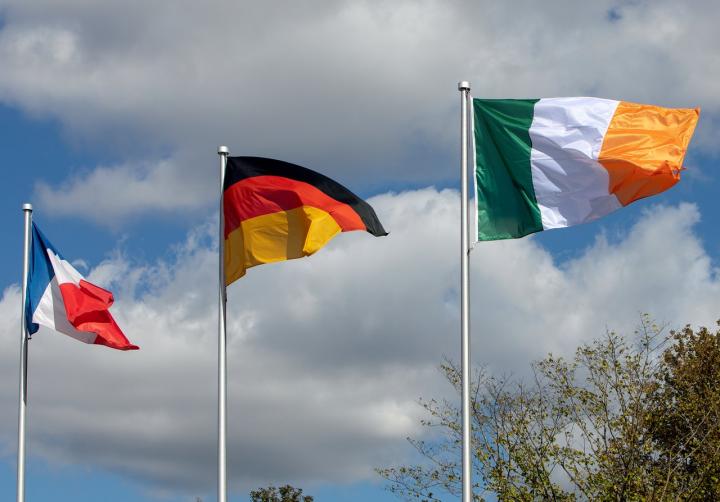 Irish Flag Being Hoisted at ESO's Headquarters