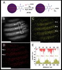 Figure 2. Schematic Representation of Functionalized Block of the Striped Nanoparticles