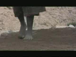 Footprints at Koobi Fora