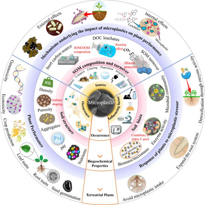 Effects of microplastics on soil carbon pool and terrestrial plant performance
