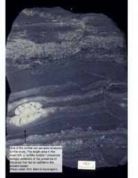 Ore Sample (2 of 2)