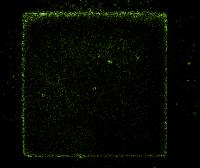 Measure Electric Activity Bacteria