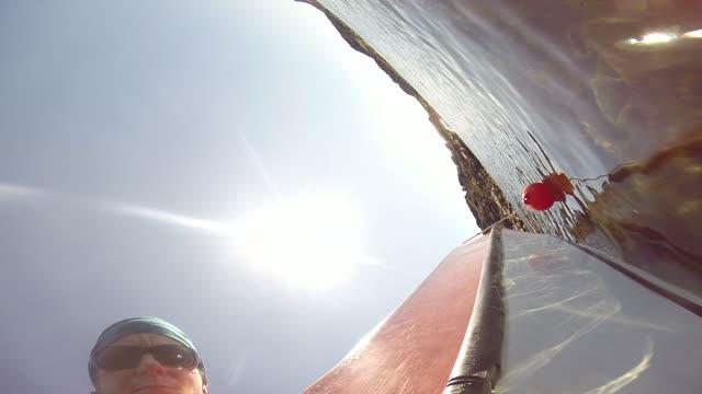 Long Exposure to Sunlight Helps Arctic Kelp Offset Ocean Acidity (2 of 7)
