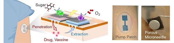 Biobattery-powered Microneedle Patch Can Deliver Drugs and Procure Testing Samples