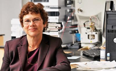 Francine Berman, Rensselaer Polytechnic Institute
