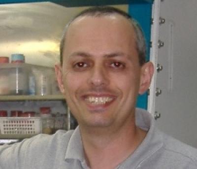 Professor Arkadi Vigalok
