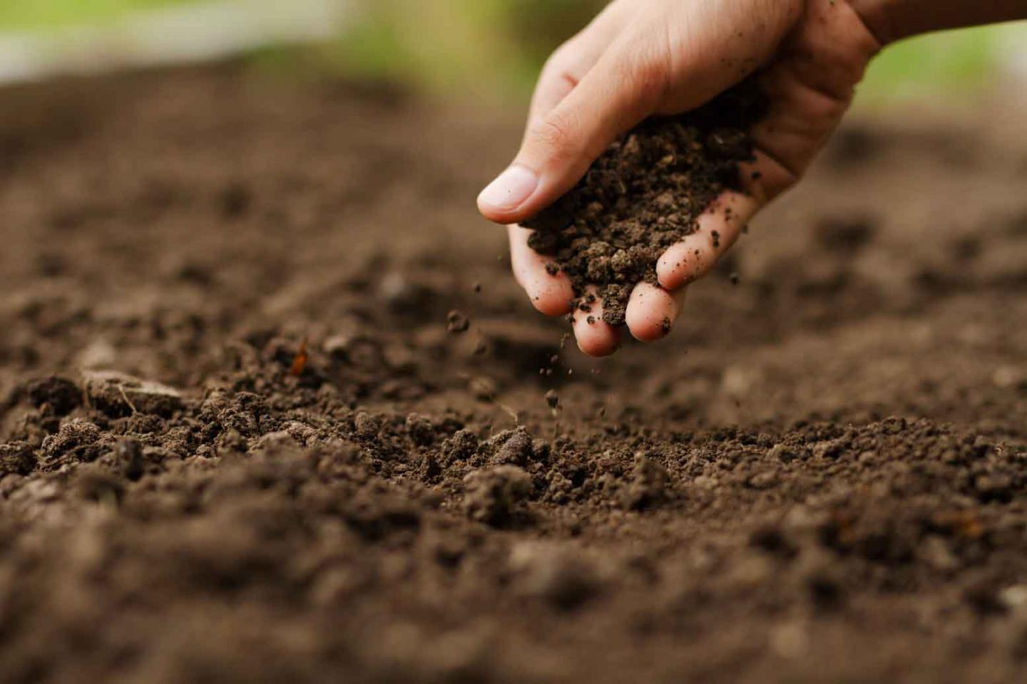 hand soil
