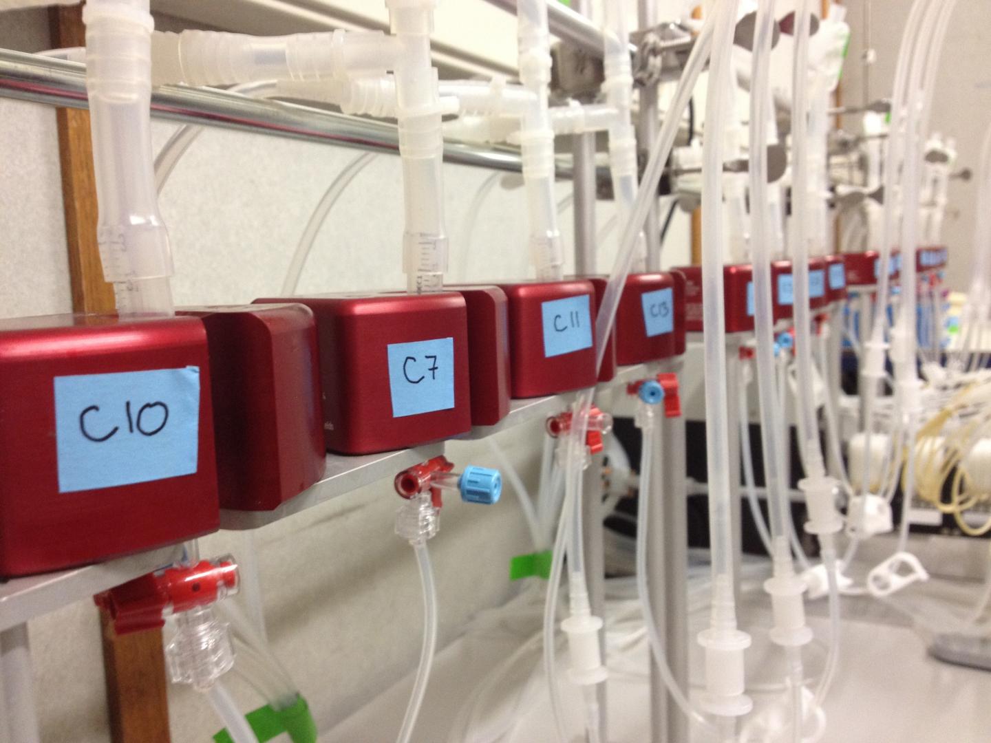 Experimental Set Up