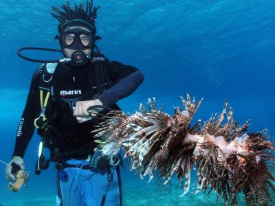 Fishing Invasive Species -- Lionfish