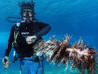 Fishing Invasive Species -- Lionfish