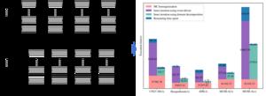 Parallel computing acceleration