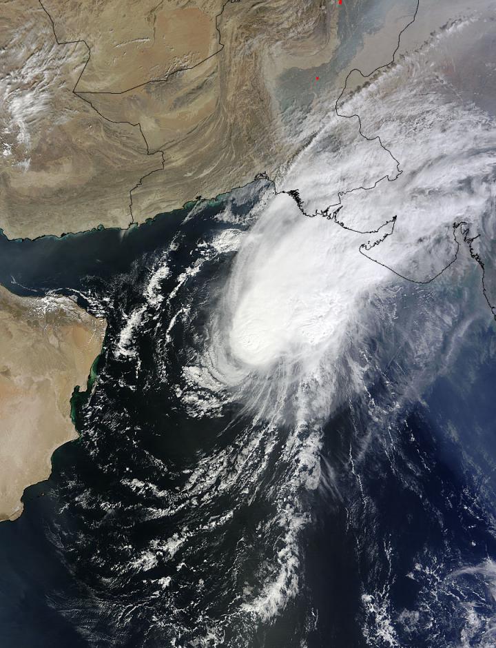 Terra Image of Nilofar