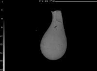 Flying Object