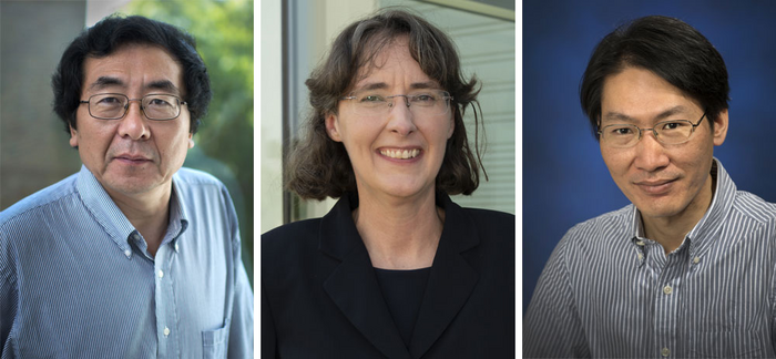 Jingguang Chen, Amy Marschilok, and Qun Liu