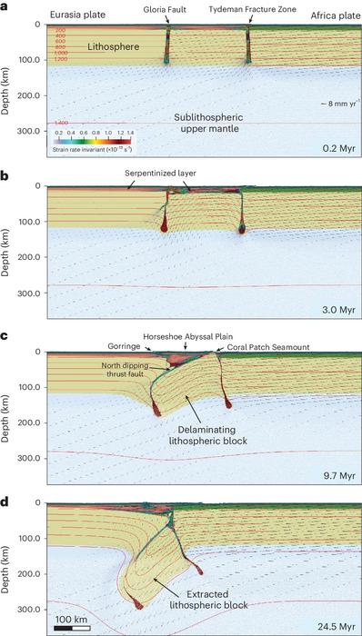 Results of the numerical model with two plate boundaries showing the delamination and extraction of a lower lithospheric block.