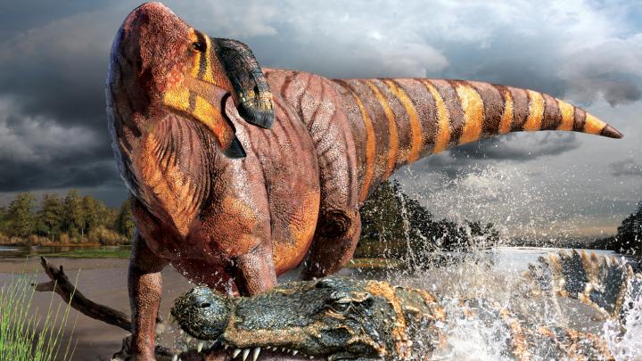 <I>Rhinorex</I>