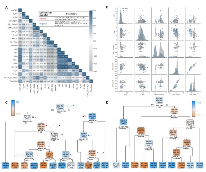 Fig. 4. Visualization of key-descriptor analysis and simplified decision-tree models.