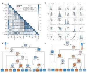 Fig. 4. Visualization of key-descriptor analysis and simplified decision-tree models.
