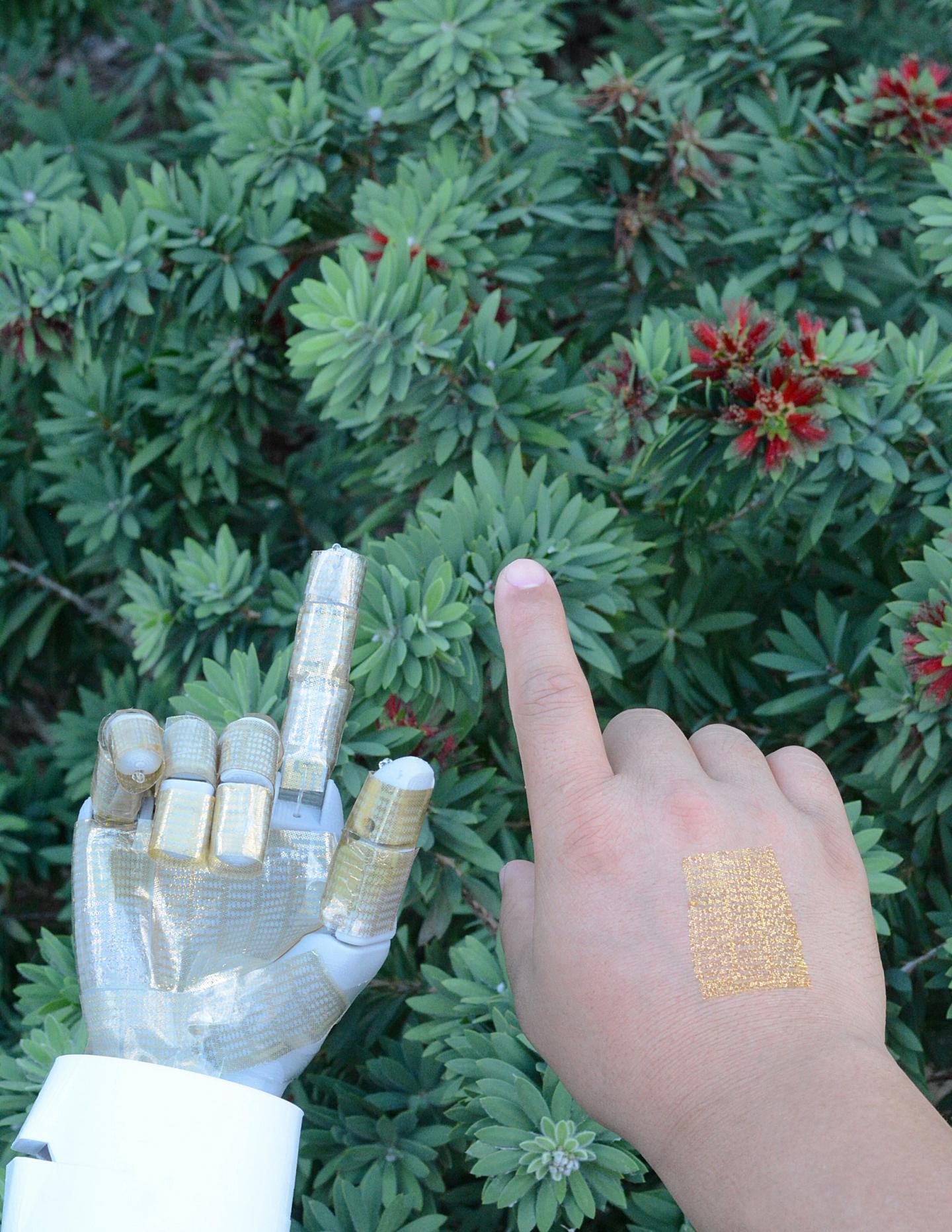 Wearable Human-Machine Interfaces