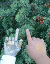 Wearable Human-Machine Interfaces