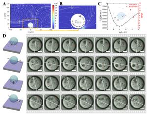 Figure | Arbitrary-axis rotation of spherical particles.