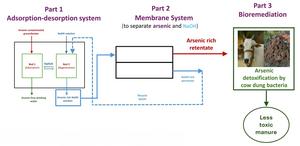 Schematic of the process