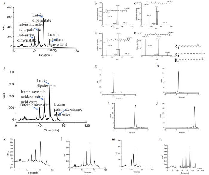 HPLC and HPLC-MS characterization of lutein esters and evaluation of chromatographic conditions.