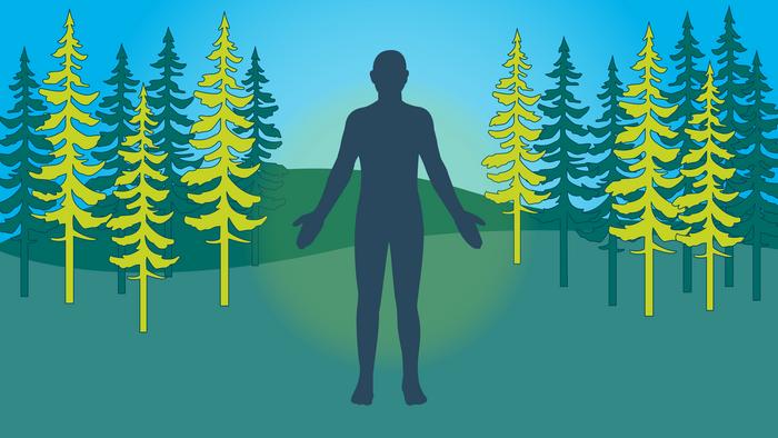 Nature as a resource for mental health