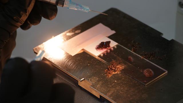 Winzler Lab