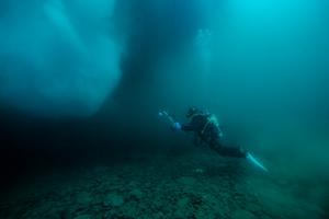 Global environmental DNA (eDNA) surveys significantly expand known geographic and ecological niche ranges of marine fish, highlighting current biases in conservation and ecological modeling