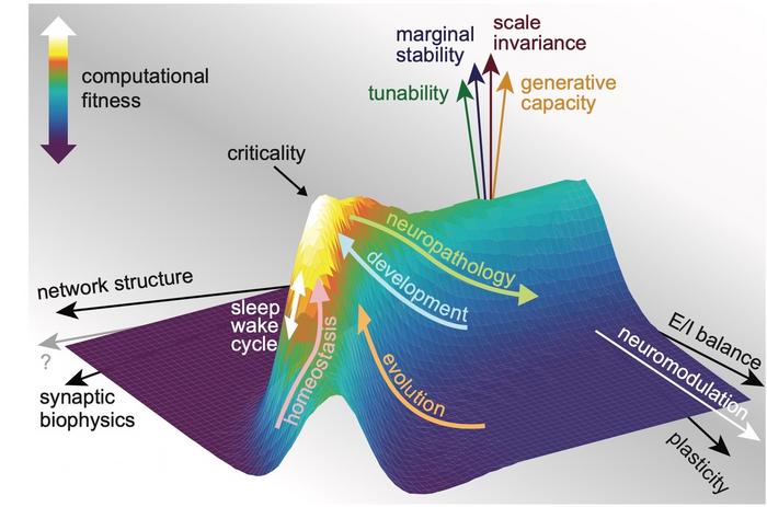 Criticality