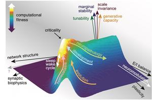 Criticality