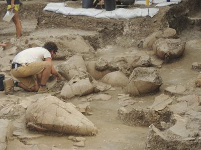 Tel Kabri Wine Cellar
