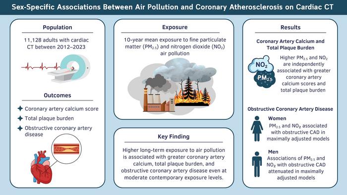 Sex-Specific Associations between Long-term Air Pollution Exposure and Coronary Atherosclerosis at Cardiac CT