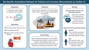 Sex-Specific Associations between Long-term Air Pollution Exposure and Coronary Atherosclerosis at Cardiac CT