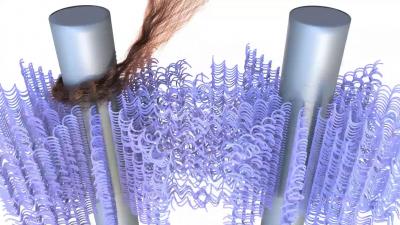 How Things Coil (3 of 3)