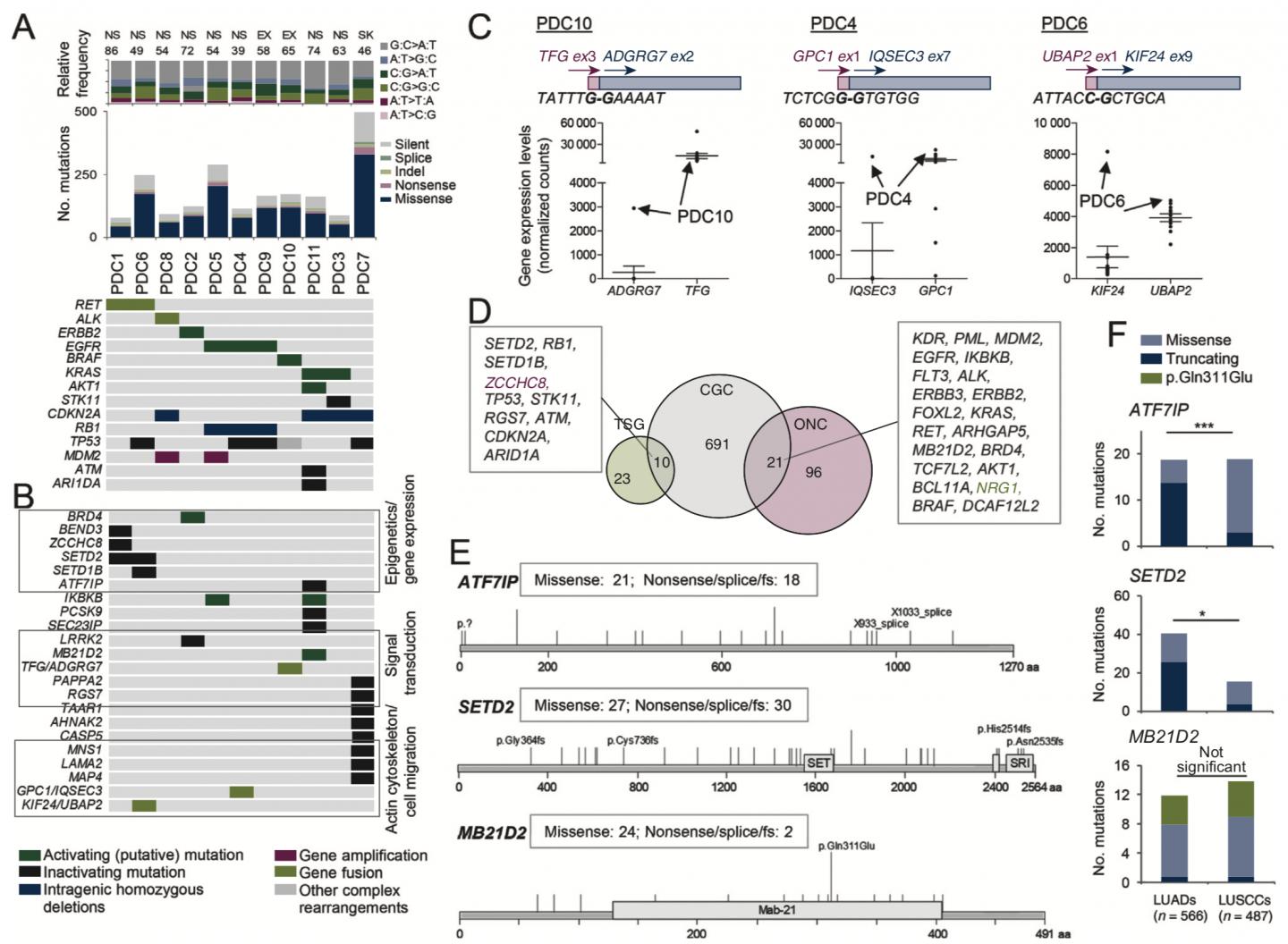 Somatic Gene Alterations Detected by Whole-Exome Sequencing (WES) and RNA-Seq Analysis