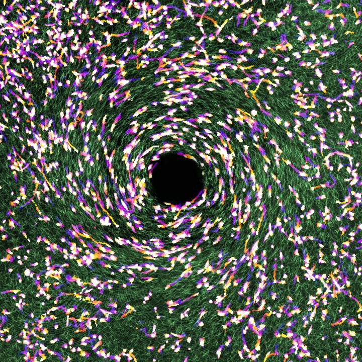 Collagen and cancer