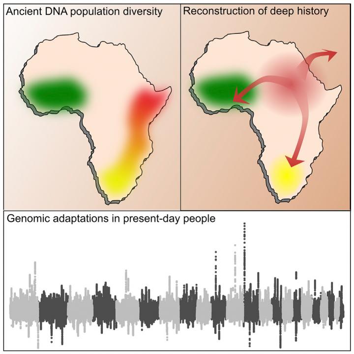 Genome-Wide Analysis of Prehistoric African Populations