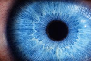 A novel tri-modal capacitive sensor architecture mimicking the pupil