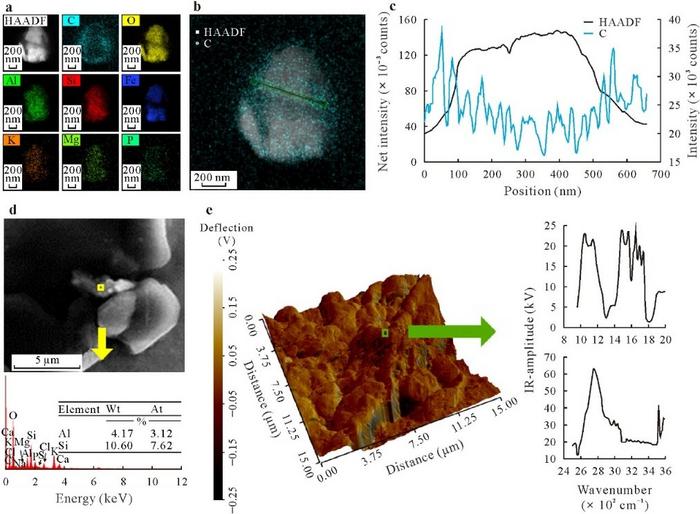 Clay with a Coating: Visualizing Nutrient-Loaded Montmorillonite in Wheat Xylem.