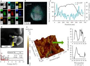 Clay with a Coating: Visualizing Nutrient-Loaded Montmorillonite in Wheat Xylem.