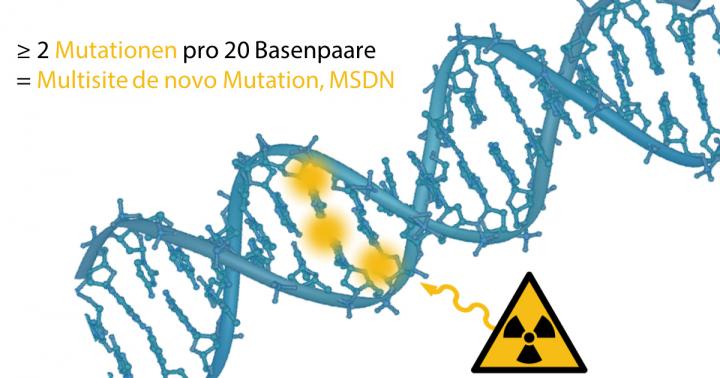 The Graph Illustrates How Radiation Alters the Genome