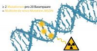 The Graph Illustrates How Radiation Alters the Genome