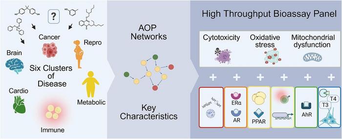 Graphical abstract