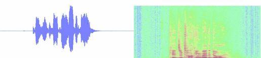 Oscillogram and Spectrogram