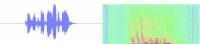 Oscillogram and Spectrogram
