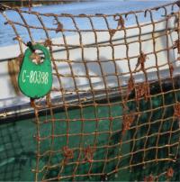 Net Treated with Macroblock