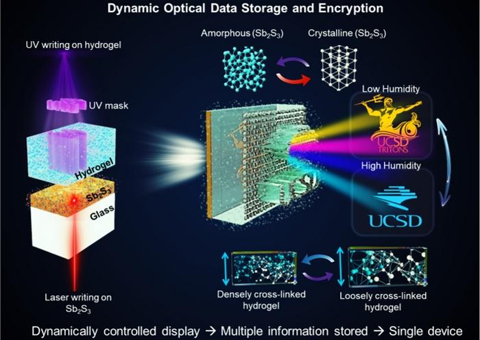 Figure | Working principle of the dynamic optical data storage and encryption platform.