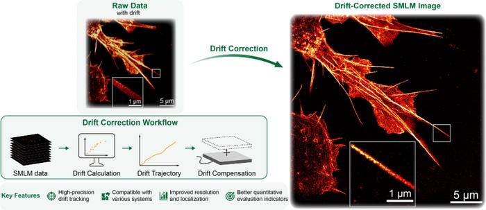 Drift correction methods for minimizing motion artifacts in single ...